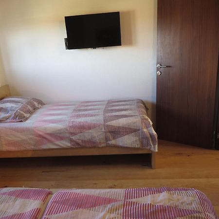 Apartments Amfa Biograd Na Moru Dış mekan fotoğraf